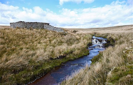 simsearch:841-03032265,k - Yorkshire Dales, North Yorkshire, Yorkshire, England, United Kingdom, Europe Stock Photo - Rights-Managed, Code: 841-08663638