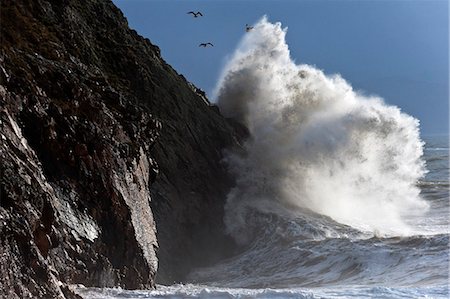 seagulls flying - Huge waves crash against cliffs at Criccieth, Gwynedd, Wales, United Kingdom, Europe Foto de stock - Con derechos protegidos, Código: 841-08663643