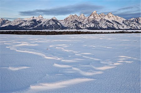 simsearch:841-07080840,k - Tetons at dawn in the winter, Grand Teton National Park, Wyoming, United States of America, North America Foto de stock - Con derechos protegidos, Código: 841-08663655