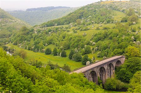 simsearch:841-09194469,k - Monsal Trail viaduct, Monsal Head, Monsal Dale, former rail line, trees in full leaf in summer, Peak District, Derbyshire, England, United Kingdom, Europe Stockbilder - Lizenzpflichtiges, Bildnummer: 841-08717964