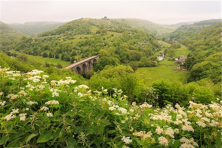 england scenic not city - Monsal Trail crosses Monsal Dale on Monsal Head viaduct, limestone dale scenery in summer, Peak District, Derbyshire, England, United Kingdom, Europe Stock Photo - Rights-Managed, Code: 841-08717963