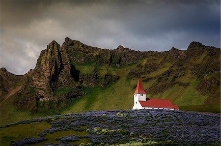 spire - Vik church and lupine flowers, South Region, Iceland, Polar Regions Stock Photo - Rights-Managed, Code: 841-08718022