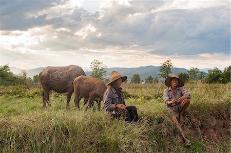 simsearch:696-03399251,k - Farmers take a break from working the fields near Yuanmou, Yunnan Province, China, Asia Photographie de stock - Rights-Managed, Code: 841-08718112