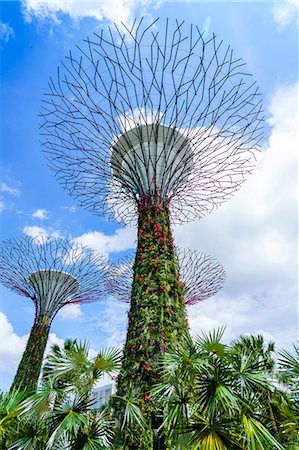 Supertree Grove in the Gardens by the Bay, a futuristic botanical gardens and park, Marina Bay, Singapore, Southeast Asia, Asia Foto de stock - Direito Controlado, Número: 841-08729586