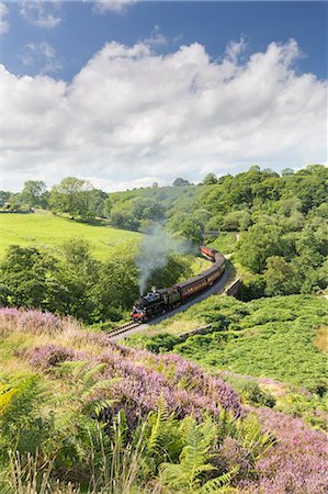 simsearch:841-09242234,k - A steam locomotive pulling carriages through Darnholme on the North Yorkshire Steam Heritage Railway, Yorkshire, England, United Kingdom, Europe Stock Photo - Rights-Managed, Code: 841-08729602