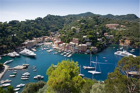 simsearch:841-09085873,k - View of Harbour from Castle, Portofino, Genova (Genoa), Liguria, Italy, Europe Fotografie stock - Rights-Managed, Codice: 841-08729660