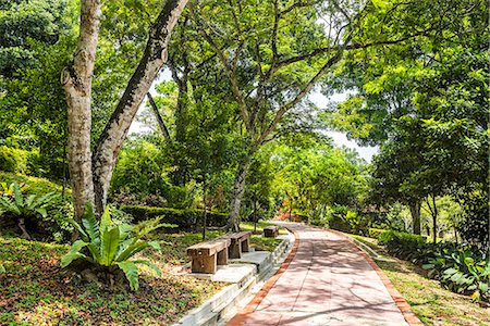 footpath - Perdana Botanical Garden, Tun Abdul Razak Heritage Park, Kuala Lumpur, Malaysia, Southeast Asia, Asia Foto de stock - Con derechos protegidos, Código: 841-08797703