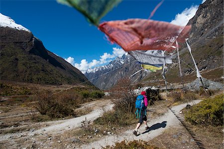 simsearch:841-08797827,k - In the Langtang valley a woman treks under a string of prayer flags path between Langtang village and Kyanjin Gompa, Langtang Region, Himalayas, Nepal, Asia Foto de stock - Con derechos protegidos, Código: 841-08797799