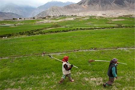 Women farmers carry irrigation tools like small spades used to channel the precious water to their fields, Ladakh, India, Asia Foto de stock - Con derechos protegidos, Código: 841-08797888