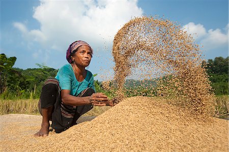 A woman throws rice up into the air with her hands while someone else fans air through, Chittagong Hill Tracts, Bangladesh, Asia Stock Photo - Rights-Managed, Code: 841-08797903