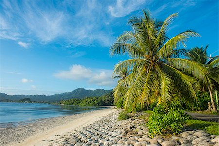 pacifique du sud - White sand beach, Kosrae, Federated States of Micronesia, South Pacific Photographie de stock - Rights-Managed, Code: 841-08821563