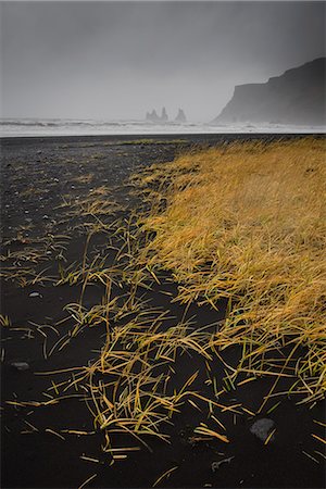simsearch:6119-08703680,k - Basalt rock formations (sea stacks) and black sand beach in Vik, Iceland, Polar Regions Foto de stock - Direito Controlado, Número: 841-08821639