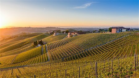 Vineyards at Barbaresco, Piedmont, Italy, Europe Stock Photo - Rights-Managed, Code: 841-08821656