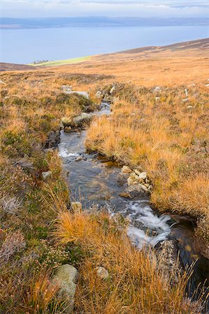 simsearch:841-08645524,k - Uisge Soluis Mhoir, burn on the walk up to Coire-Fhionn Lochan, Isle of Arran, North Ayrshire, Scotland, United Kingdom, Europe Fotografie stock - Rights-Managed, Codice: 841-08821788