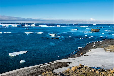 simsearch:841-08860743,k - Antarctic fur seal (Arctocephalus gazella), Brown Bluff, Tabarin Peninsula, Antarctica, Polar Regions Stock Photo - Rights-Managed, Code: 841-08860734