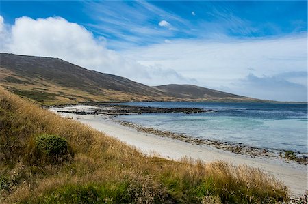 View over Carcass Island, Falkland Islands, South America Foto de stock - Con derechos protegidos, Código: 841-08860752