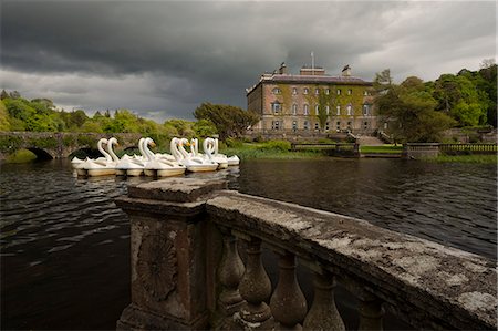 swan - Westport House, County Mayo, Connacht, Republic of Ireland, Europe Stock Photo - Rights-Managed, Code: 841-08860859