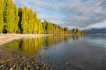 View along the shore of tranquil Lake Wanaka, autumn, Roys Bay, Wanaka, Queenstown-Lakes district, Otago, South Island, New Zealand, Pacific Fotografie stock - Rights-Managed, Codice: 841-08861011