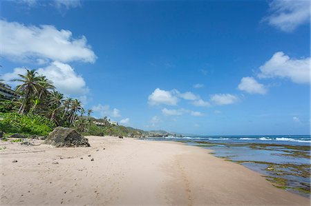 Bathsheba Beach, Bathsheba, St. Joseph, Barbados, West Indies, Caribbean, Central America Foto de stock - Direito Controlado, Número: 841-08861084