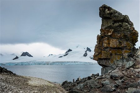 simsearch:841-08887227,k - Penguins below dramatic rock formations, Half Moon Bay, South Sheltand Islands, Antarctica, Polar Regions Photographie de stock - Rights-Managed, Code: 841-08887193