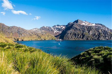 simsearch:841-08887221,k - Cruise ship anchoring in the bay of Godthul, South Georgia, Antarctica, Polar Regions Photographie de stock - Rights-Managed, Code: 841-08887228