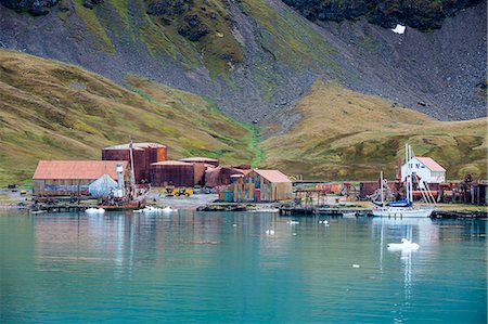 Former whaling station, Grytviken, South Georgia, Antarctica, Polar Regions Stock Photo - Rights-Managed, Code: 841-08887243