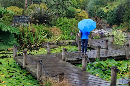 simsearch:841-06806674,k - VanDusen Gardens, Vancouver, British Columbia, Canada, North America Photographie de stock - Rights-Managed, Code: 841-08887458