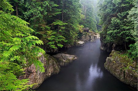 Capilano River Regional Park, Vancouver, British Columbia, Canada, North America Photographie de stock - Rights-Managed, Code: 841-08887462