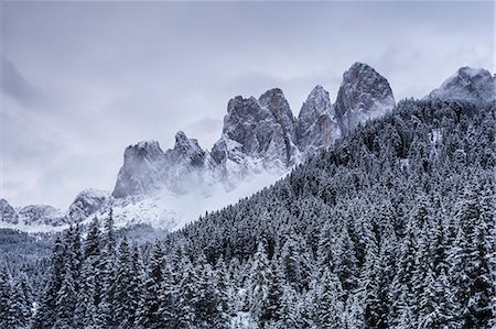 dolomites forest - The Odle Mountains in the Val di Funes, Dolomites. Stock Photo - Rights-Managed, Code: 841-08887524