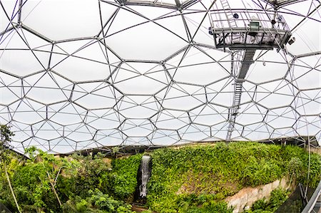 futuristic building - Inside the tropical biome at the popular visitor attraction, The Eden Project, St. Blazey, near St. Austell, Cornwall, England, United Kingdom, Europe Stock Photo - Rights-Managed, Code: 841-09055218