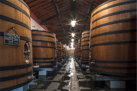 Wine barrels storing award-winning Portuguese wine in the cellars of the Reynolds vineyard and winery near Arronches, Alentejo, Portugal, Europe Foto de stock - Direito Controlado, Número: 841-09055260