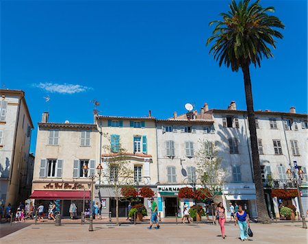 french riviera palm - Antibes, Alpes Maritimes, Cote d'Azur, Provence, France, Europe Stock Photo - Rights-Managed, Code: 841-09055323