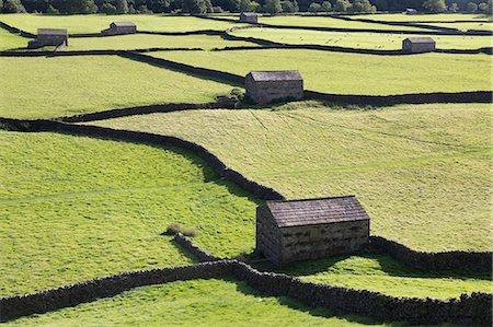 Stone field barns and dry stone walls at Gunnerside, Swaledale, Yorkshire Dales, Yorkshire, England, United Kingdom, Europe Photographie de stock - Rights-Managed, Code: 841-09055396