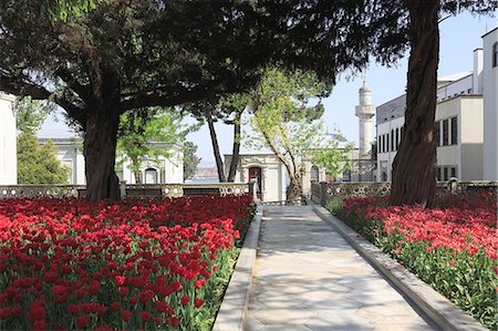 Tulip Garden, Fourth Courtyard, Topkapi Palace, UNESCO World Heritage Site, Istanbul, Turkey, Europe Foto de stock - Con derechos protegidos, Código: 841-09055617