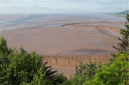 Mudflats, seen from Hopewell Rocks, on the Bay of Fundy, the location of the highest tides in the world, New Brunswick, Canada, North America Stock Photo - Rights-Managed, Code: 841-09055634