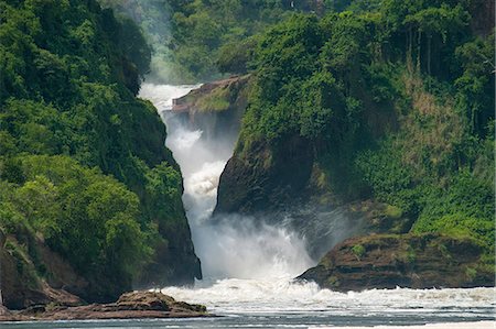 Water cascades down Murchison Falls and into the River Nile, Uganda, Africa Foto de stock - Con derechos protegidos, Código: 841-09059921