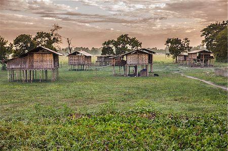 Miching Tribe huts at Dhapak Village in Majuli Island, built at height to avoid potenial flood on Brahamaputra during Monsoon, Assam, India, Asia Foto de stock - Con derechos protegidos, Código: 841-09076830