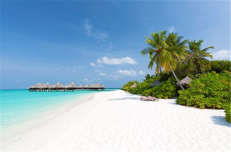 simsearch:841-09076952,k - View along tropical beach towards over-water villas, Coco Palm Resort, Dhuni Kolhu, Baa Atoll, Republic of Maldives, Indian Ocean, Asia Stock Photo - Rights-Managed, Code: 841-09076950