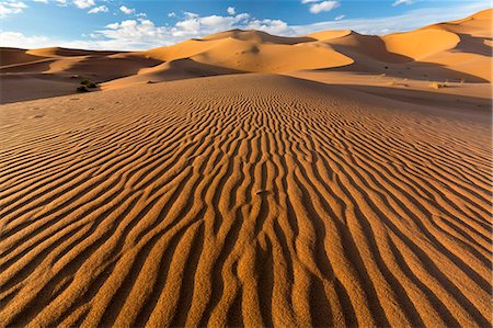 simsearch:841-09077062,k - Wide angle view of the ripples and dunes of the Erg Chebbi Sand sea, part of the Sahara Desert near Merzouga, Morocco, North Africa, Africa Stockbilder - Lizenzpflichtiges, Bildnummer: 841-09077069