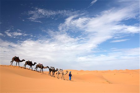 simsearch:841-06804622,k - Camels being led over dunes of the Erg Chebbi sand sea, part of the Sahara Desert near Merzouga, Morocco, North Africa, Africa Foto de stock - Con derechos protegidos, Código: 841-09077062