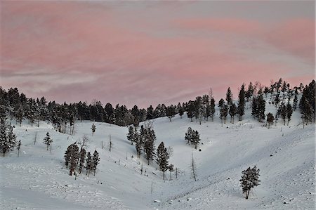 Pink clouds at dawn in the winter, Yellowstone National Park, UNESCO World Heritage Site, Wyoming, United States of America, North America Stock Photo - Rights-Managed, Code: 841-09077206