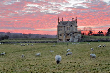 Banqueting House of Campden House and sheep at sunset, Chipping Campden, Cotswolds, Gloucestershire, England, United Kingdom, Europe Photographie de stock - Rights-Managed, Code: 841-09077307