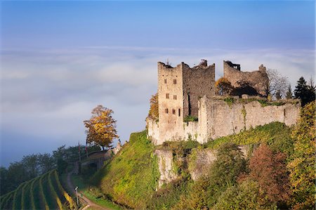 simsearch:841-09241967,k - Schauenburg castle ruin, early morning fog, Oberkirch, Black Forest, Baden Wurttemberg, Germany, Europe Stock Photo - Rights-Managed, Code: 841-09085759