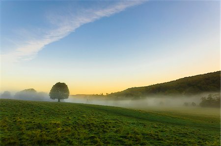 derbyshire uk - Autumn (fall) morning mists, distant moors, Chatsworth Park, home of the Duke of Devonshire, Chesterfield, Derbyshire, England, United Kingdom, Europe Photographie de stock - Rights-Managed, Code: 841-09085785