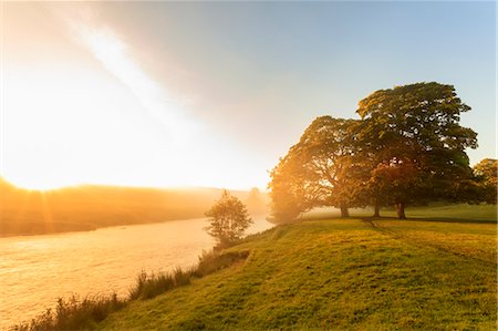 derbyshire uk - Autumn (fall) morning mist and the River Derwent, Chatsworth Park, home of the Duke of Devonshire, Chesterfield, Derbyshire, England, United Kingdom, Europe Stock Photo - Rights-Managed, Code: 841-09085786