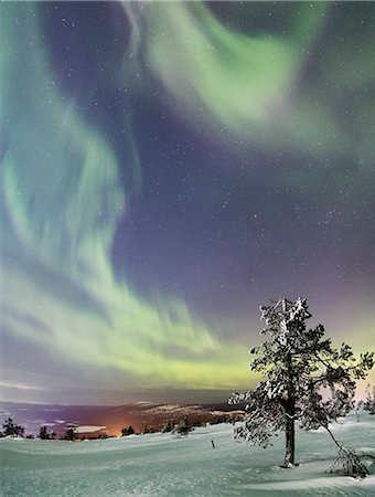 Panorama of snowy woods and frozen trees framed by Northern Lights (Aurora Borealis) and stars, Levi, Sirkka, Kittila, Lapland region, Finland, Europe Stock Photo - Rights-Managed, Code: 841-09085878