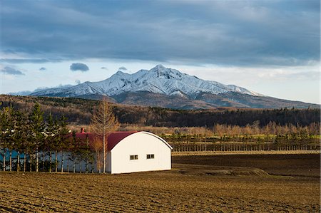 scheune - Little farm before a snow capped mountain near the Shiretoko National Park, Hokkaido, Japan, Asia Stockbilder - Lizenzpflichtiges, Bildnummer: 841-09085941
