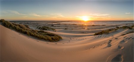 simsearch:841-08860902,k - Sand dunes, grass, and driftwood at sunset on the Oregon coast, Oregon, United States of America, North America Photographie de stock - Rights-Managed, Code: 841-09086218