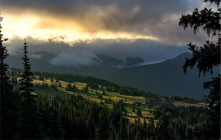 simsearch:841-08279425,k - Mount Rainier meadows at sunrise, Cascade Ranges, Washington State, United States of America, North America Foto de stock - Con derechos protegidos, Código: 841-09086221