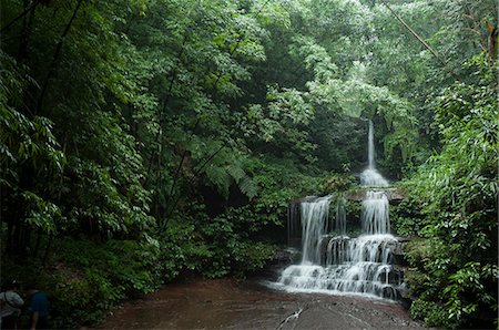 sichuan province - Bamboo Forest, Sichuan Province, China, Asia Photographie de stock - Rights-Managed, Code: 841-09086480